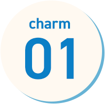 charm_01