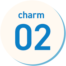 charm_01