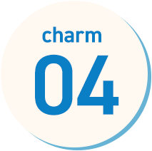 charm_01