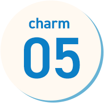 charm_01